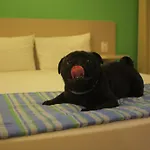 Go Inn Hotel Aracaju